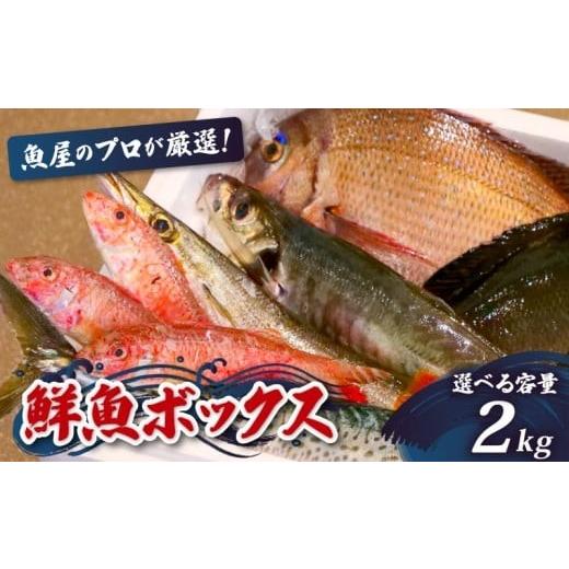 ふるさと納税 カツオ 高知県 須崎市 鮮魚BOX 2kg 刺身 刺し身 旬 海鮮 鮮魚 魚介 焼き 煮付け 炙り カルパッチョ 寿司 丼 おつまみ おかず ご飯に合う 米に合…