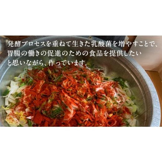ふるさと納税 セット・詰合せ 群馬県 嬬恋村 嬬恋 野菜 の キムチ 3種 各150g 韓国 韓国グルメ 詰め合わせ 食べ比べ 小分け 嬬恋キャベツ 白菜キムチ 本格 キ…の画像