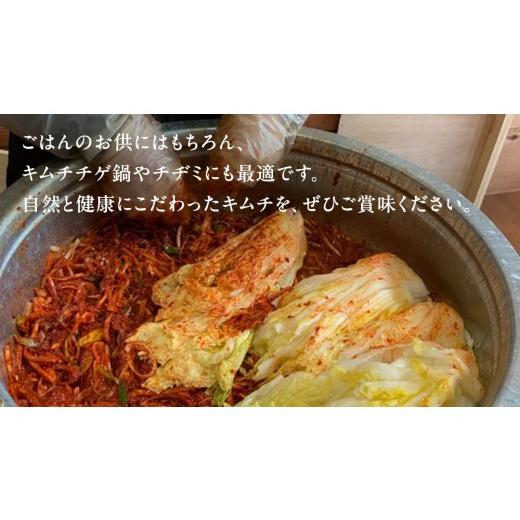 ふるさと納税 セット・詰合せ 群馬県 嬬恋村 嬬恋 野菜 の キムチ 3種 各150g 韓国 韓国グルメ 詰め合わせ 食べ比べ 小分け 嬬恋キャベツ 白菜キムチ 本格 キ…の画像