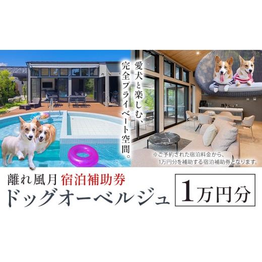 ふるさと納税 宿泊券 ペットと泊まる宿 千葉県 勝浦市 宿泊 離れ 風月 ドッグオーベルジュ 宿泊補助券 1万円分[30日以内に出荷予定(土日祝除く)]離れ 風月 …