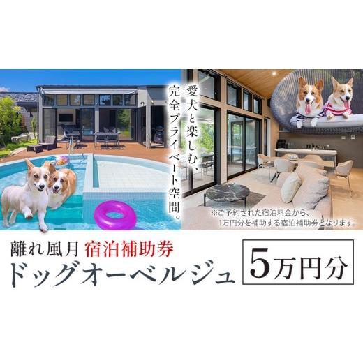 ふるさと納税 宿泊券 ペットと泊まる宿 千葉県 勝浦市 宿泊 離れ 風月 ドッグオーベルジュ 宿泊補助券 5万円分[30日以内に出荷予定(土日祝除く)]離れ 風月 …