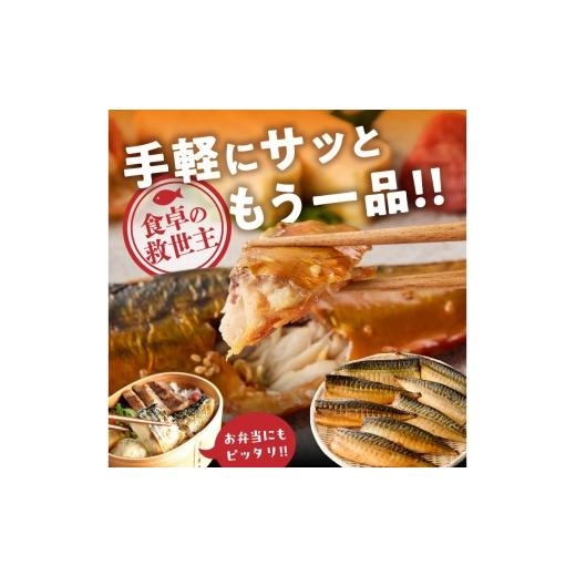 ふるさと納税 干物 サバ 福岡県 飯塚市 骨取りさば40枚(さばみりん干し・塩さば昆布塩／各20枚) H-011の画像