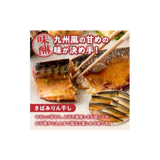 ふるさと納税 干物 サバ 福岡県 飯塚市 骨取りさば40枚(さばみりん干し・塩さば昆布塩／各20枚) H-011の画像