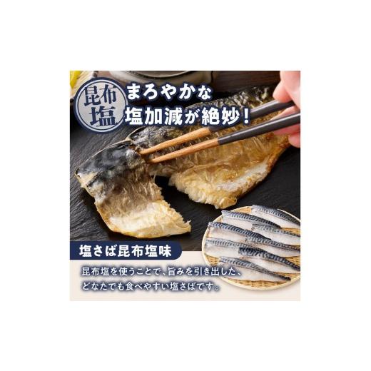 ふるさと納税 干物 サバ 福岡県 飯塚市 骨取りさば40枚(さばみりん干し・塩さば昆布塩／各20枚) H-011の画像
