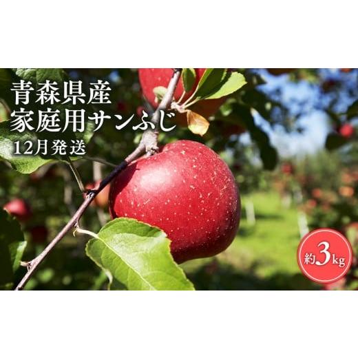 ふるさと納税 りんご 青森県 平川市 12月発送 訳あり 家庭用 サンふじ3kg 青森県 平川市 丸勝木村商店 平川市産 青森りんご りんご リンゴ 林檎 ふじ 訳あり …