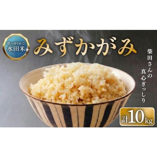 ふるさと納税 玄米 滋賀県 彦根市 数量限定 令和7年産 環境こだわり栽培 新米 ひこにゃん米 みずかがみ 玄米 10kg 滋賀県認証 魚のゆりかご水田米 10 令和7年…