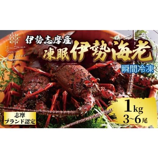 ふるさと納税 エビ・カニ等 エビ 三重県 志摩市 伊勢海老 1kg 3尾 〜 6尾 冷凍 / 伊勢志摩 伊勢 志摩 三重 伊勢えび 伊勢エビ 新鮮 えび エビ 三重ブランド認…