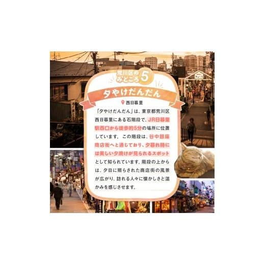 ふるさと納税 イベントやチケット等 東京都 荒川区 HISふるさと納税宿泊予約専用クーポン（東京都荒川区）21,000円分 064-005の画像
