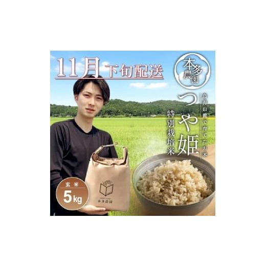 ふるさと納税 玄米 山形県 酒田市 11月下旬配送/令和7年産 玄米 特別栽培米 つや姫 5kg 農家直送 HO SB0740 令和7年11月下旬配送