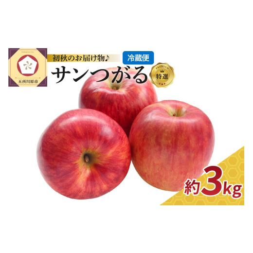 ふるさと納税 りんご 青森県 五所川原市 9月発送 りんご 3kg サンつがる 特選 青森 2026年 リンゴ 林檎 果物 フルーツ クール便