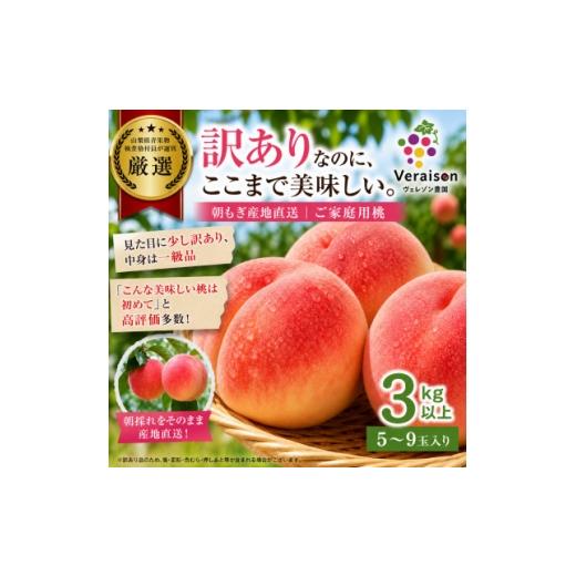 ふるさと納税 もも 山梨県 山梨市 2026発送予定 訳ありなのに高評価|朝もぎ桃3kg以上(5〜9玉)農家直送・家庭用 1178167