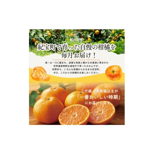 ふるさと納税 果物類 みかん 三重県 紀宝町  全10回 柑橘 定期便 石本果樹園 店主おすすめの柑橘セットをお届け ／ フルーツ 果物 くだもの 柑橘 フルーツ定期…_2