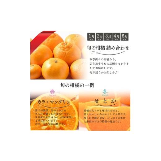 ふるさと納税 果物類 みかん 三重県 紀宝町  全10回 柑橘 定期便 石本果樹園 店主おすすめの柑橘セットをお届け ／ フルーツ 果物 くだもの 柑橘 フルーツ定期…_3