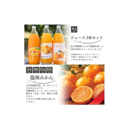 ふるさと納税 果物類 みかん 三重県 紀宝町  全10回 柑橘 定期便 石本果樹園 店主おすすめの柑橘セットをお届け ／ フルーツ 果物 くだもの 柑橘 フルーツ定期…_4