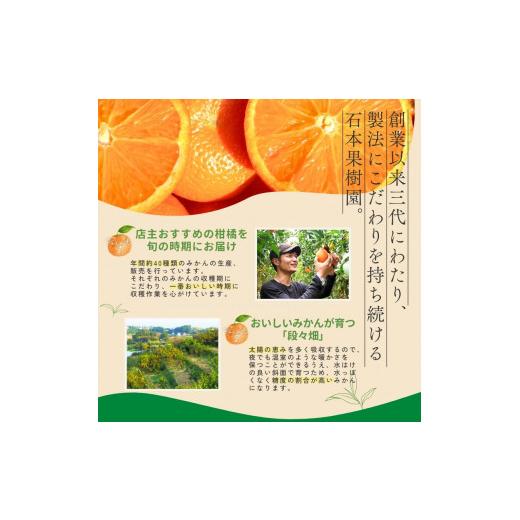 ふるさと納税 果物類 みかん 三重県 紀宝町  全10回 柑橘 定期便 石本果樹園 店主おすすめの柑橘セットをお届け ／ フルーツ 果物 くだもの 柑橘 フルーツ定期…_5