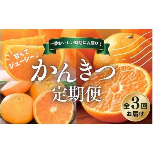 ふるさと納税 果物類 みかん 三重県 紀宝町 全3回 柑橘 定期便 石本果樹園 旬の柑橘を春秋冬でお届け / フルーツ 果物 くだもの 柑橘 フルーツ定期便 くだも…