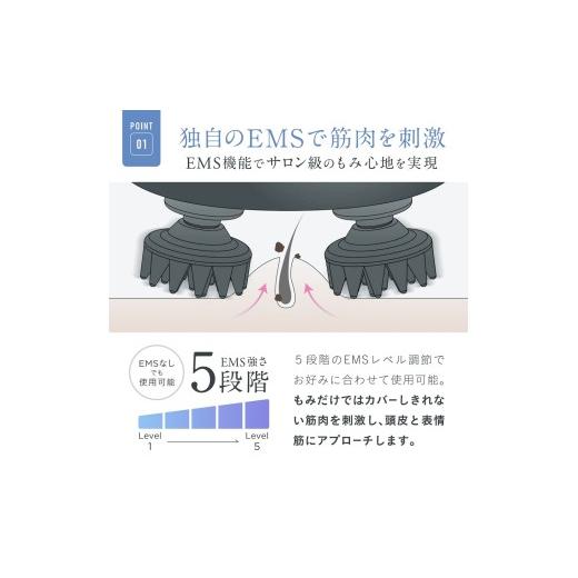 ふるさと納税 美容 福岡県 福岡市  福岡市 NIPLUX ヘッドケア EMS HEAD SPA Pocketの画像