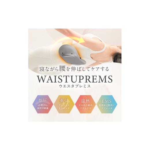ふるさと納税 美容・健康家電 福岡県 福岡市  福岡市 NIPLUX 腰ケア WAISTUPREMS_1