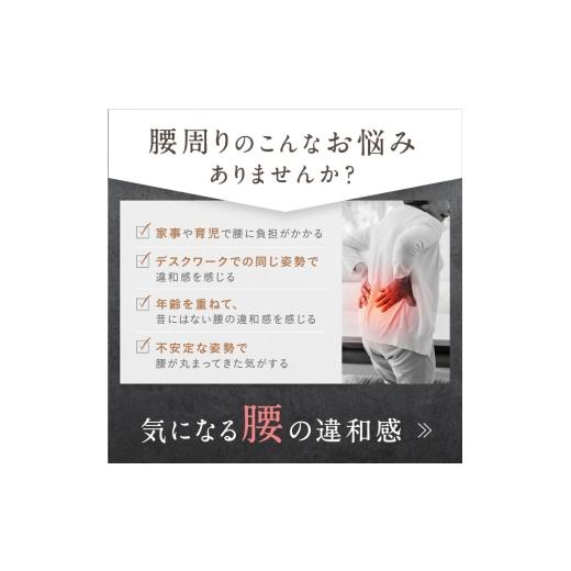 ふるさと納税 美容・健康家電 福岡県 福岡市  福岡市 NIPLUX 腰ケア WAISTUPREMS_3