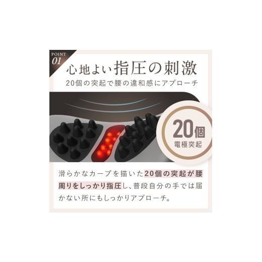 ふるさと納税 美容・健康家電 福岡県 福岡市  福岡市 NIPLUX 腰ケア WAISTUPREMS_5