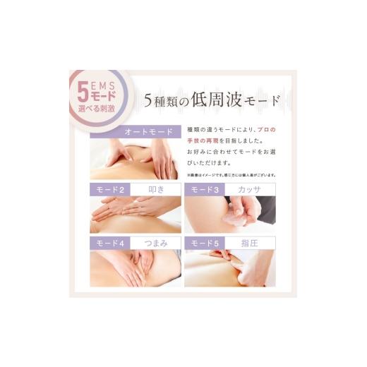 ふるさと納税 美容・健康家電 福岡県 福岡市  福岡市 NIPLUX 腰ケア WAISTUPREMS_7