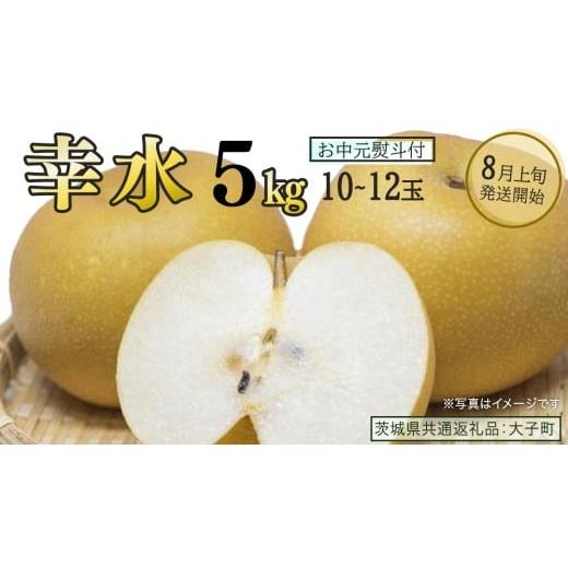 ふるさと納税 梨 茨城県 牛久市 お中元 熨斗付き 幸水 約5kg (10〜12玉) 2026年8月上旬発送開始 (茨城県共通返礼品:大子町) 梨 なし 果物 くだもの フルーツ…
