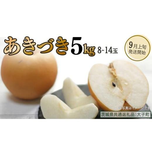 ふるさと納税 梨 茨城県 牛久市 あきづき 約5kg (8〜14個) 2026年9月上旬発送開始 (茨城県共通返礼品:大子町) 秋月 梨 なし 果物 くだもの フルーツ 約5kg(8…