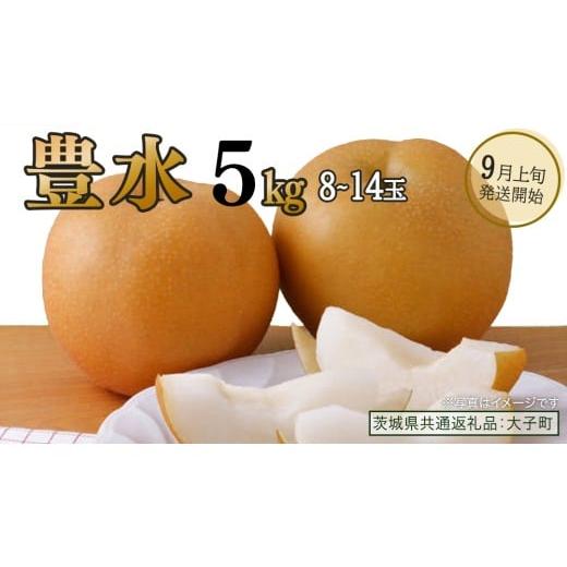 ふるさと納税 梨 茨城県 牛久市 豊水 約5kg (8〜14玉) 2026年9月上旬発送開始 (茨城県共通返礼品:大子町) 梨 なし 果物 くだもの フルーツ 約5kg (8〜14玉)