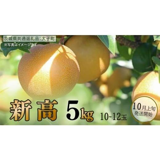 ふるさと納税 梨 茨城県 牛久市 新高 約5kg (10〜12玉) 2026年10月上旬発送開始 (茨城県共通返礼品:大子町) 梨 なし 果物 くだもの フルーツ にいたか 約5kg …