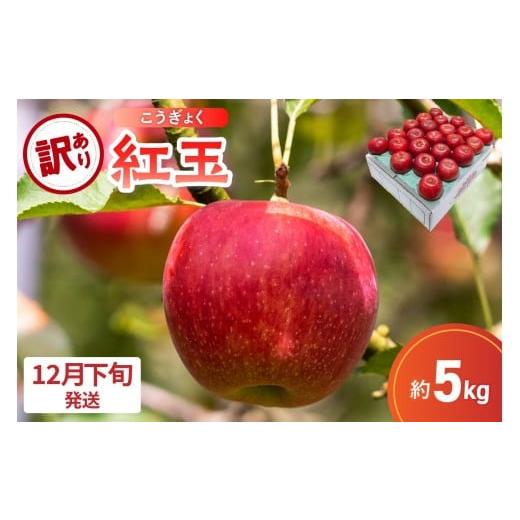 ふるさと納税 りんご 青森県 五所川原市 2025年12月下旬発送 訳あり りんご 5kg 紅玉 アップルパイ に最適 青森 不揃い 12月下旬発送(21日〜末日)