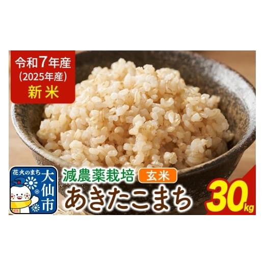 ふるさと納税 玄米 秋田県 大仙市 米 新米 令和7年産 減農薬栽培 あきたこまち 100% 玄米 30kg