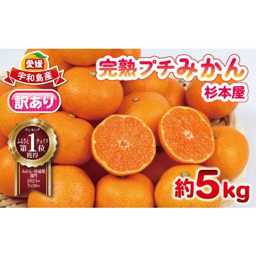 ふるさと納税 果物類 愛媛県 宇和島市 みかん 訳あり 完熟 プチ みかん 早生みかん 5kg 杉本屋 完熟みかん mikan わけあり 小玉みかん 小みかん 愛媛みかん 愛…