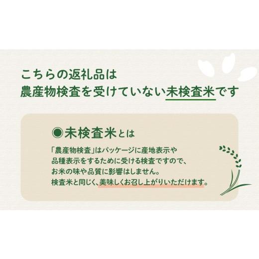 ふるさと納税 米 鹿児島県 南種子町 先行予約 令和8年産 新米 にじのきらめき 10kg お米 こめ コメ 精米 白米 南種子町 鹿児島 かごしま 8月上旬より順次発送…_3