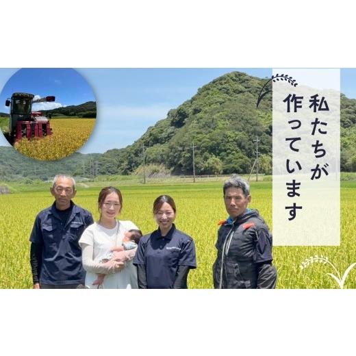 ふるさと納税 米 鹿児島県 南種子町 先行予約 令和8年産 新米 ミルキークイーン 10kg お米 こめ コメ 精米 白米 南種子町 鹿児島 かごしま 8月上旬より順次発…_2