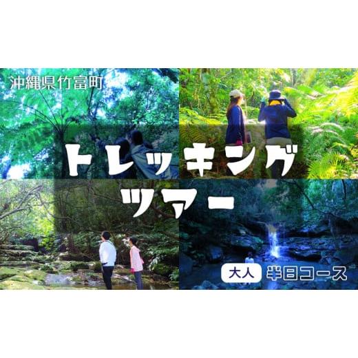 ふるさと納税 体験チケット 沖縄県 竹富町 西表島 半日森林浴滝トレッキングツアー 体験可能期間:11月1日〜4月30日 大人1名分 旅行 体験チケット 西表島ツアー…