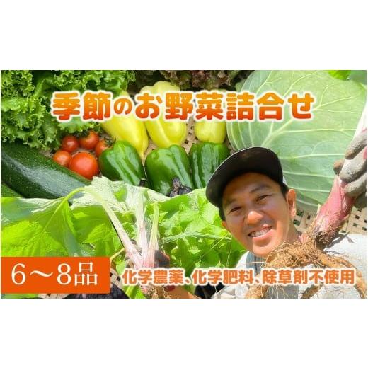 ふるさと納税 セット・詰合せ 長野県 岡谷市 季節のお野菜6〜8種セット | 野菜の詰め合わせ 野菜セット セット商品 旬 新鮮 産地直送 とうもろこし レタス キ…