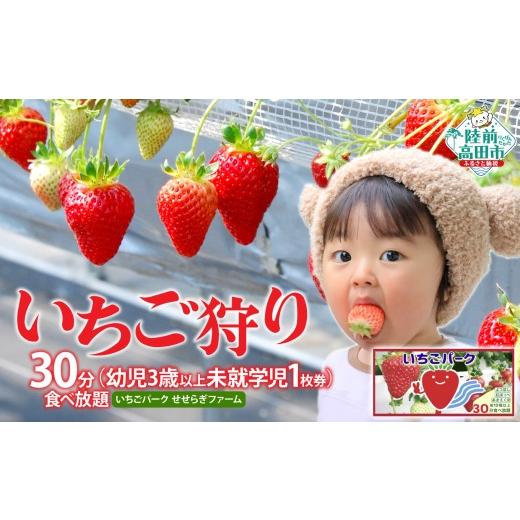 ふるさと納税 体験チケット 岩手県 陸前高田市 (幼児3歳以上未就学児 1枚券)いちごパーク いちご狩り30分食べ放題チケット 幼児3歳以上〜未就学児チケット(…