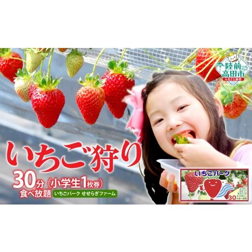 ふるさと納税 体験チケット 岩手県 陸前高田市 (小学生 1枚券)いちごパーク いちご狩り30分食べ放題チケット 小学生チケット(1枚)