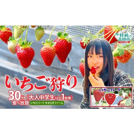 ふるさと納税 体験チケット 岩手県 陸前高田市 (大人中学生以上 1枚券)いちごパーク いちご狩り30分食べ放題チケット 大人(中学生以上)チケット(1枚)