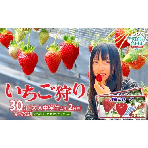 ふるさと納税 体験チケット 岩手県 陸前高田市 (大人中学生以上 2枚券)いちごパーク いちご狩り30分食べ放題ペアチケット 大人(中学生以上)チケット(2枚…