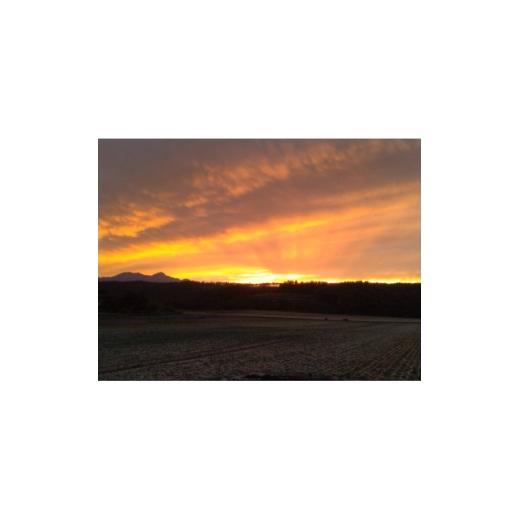 ふるさと納税 野菜類 玉ねぎ 北海道 富良野市  2026年10月以降発送 北海道 富良野産 玉ねぎ 約10kg 1643940の画像