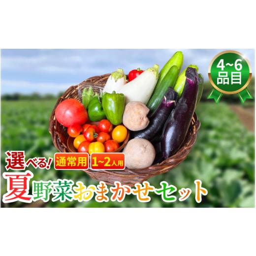 ふるさと納税 セット・詰合せ 徳島県 吉野川市 野菜 夏野菜 セット 4〜6品目 1人〜2人用 詰め合わせ 茄子 きゅうり ピーマン トマト ミニトマト 白茄子 オクラ…