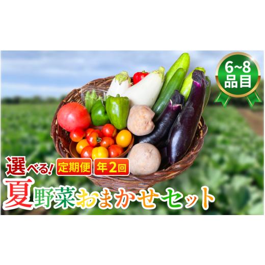 ふるさと納税 セット・詰合せ 徳島県 吉野川市 野菜 夏野菜 セット 6〜8品目 3人〜4人用 定期便 年2回 詰め合わせ 茄子 きゅうり ピーマン トマト ミニトマト …