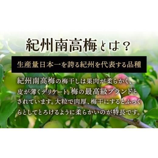 ふるさと納税 加工品等 梅干 和歌山県 印南町 定期便（4月・8月・12月）全3回お届け 紀州南高梅使用 はちみつ うす塩味 完熟梅干し 無選別 1kg ［TM215］_2