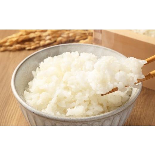 ふるさと納税 米 岡山県 美咲町 岡山県美咲町産 棚田百選「小山の棚田米」20kg / 令和7年産米先行予約 白米 2025年11月上旬より順次発送予定