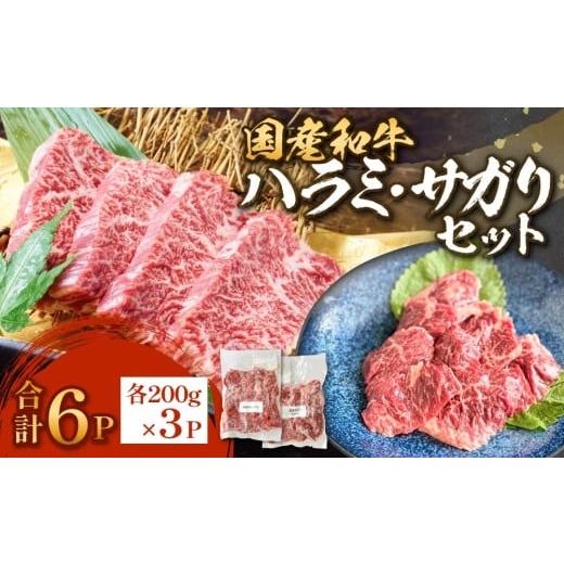 ふるさと納税 牛肉 セット 宮城県 石巻市 国産和牛 ハラミ サガリ セット 6P 1.2kg 国産 和牛 牛肉 肉 お肉 はらみ さがり 宮城県産 焼肉 バーベキュー 宮城県…
