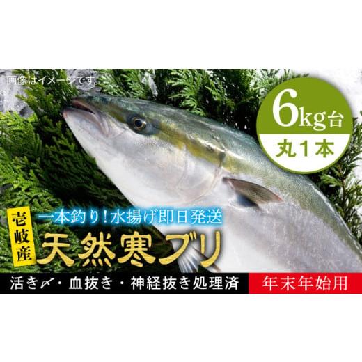 ふるさと納税 旬の鮮魚等 長崎県 壱岐市 お歳暮対象 年内発送 6キロ台 11/1〜1/15お届け 年末年始用 天然 寒ブリ(丸もの ) [壱岐市] 壱岐島 玄海屋 JB…