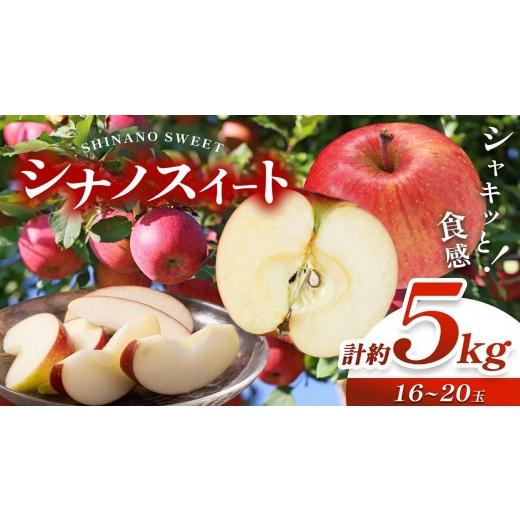 ふるさと納税 りんご 長野県 塩尻市 2026年先行予約 信州産 塩尻エールりんご 農家さん応援 シナノスイート 約5kg(16〜20玉) 10月中旬以降発送予定 |果物 …
