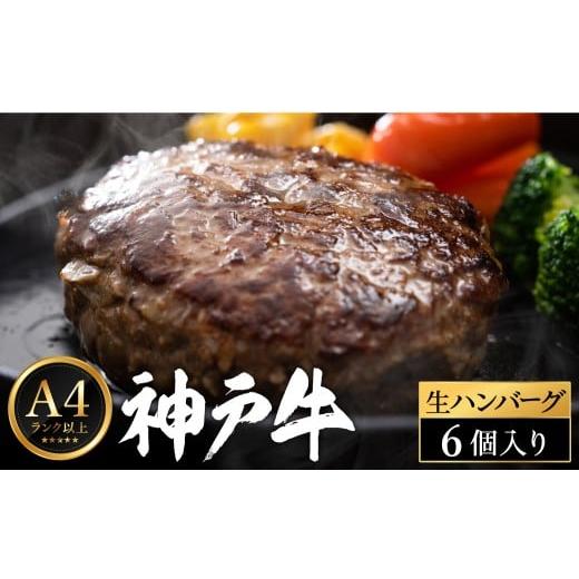 ふるさと納税 牛肉 ハンバーグ 兵庫県 豊岡市 神戸牛 生ハンバーグ (100g×6個) 帝神志方ミート 6個入り