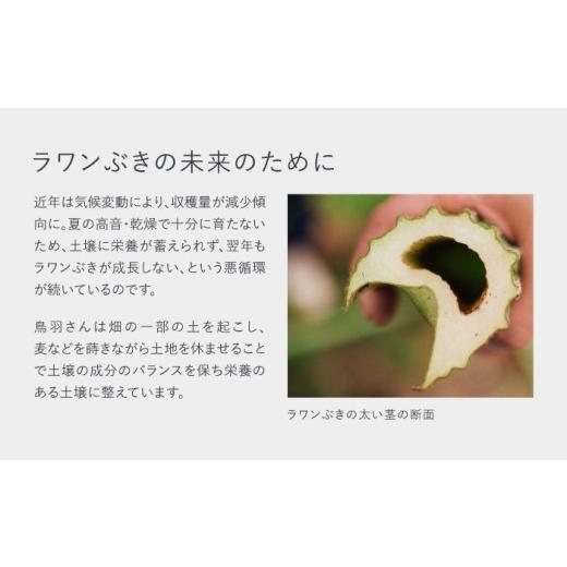 ふるさと納税 美容 北海道 足寄町  SHIRO ラワンぶきスキンケアキット 《足寄町》 洗顔 整肌 保湿 センシティブ BEAX009の画像